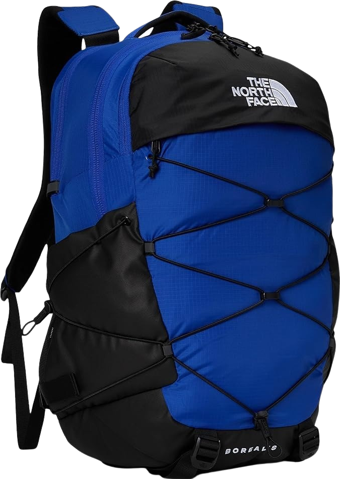 The North Face Borealis Backpack